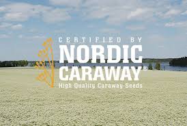 Nordic Caraway