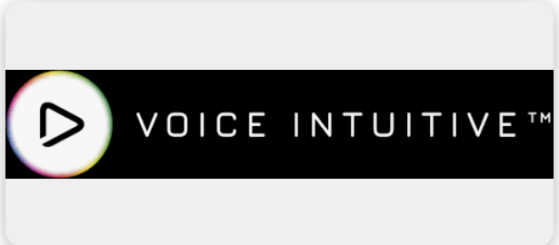Voice intuitive