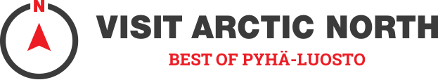 arctic north logo