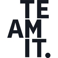 teamitfinland_logo